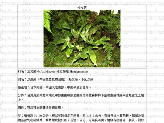 Jinshan/htm/沙皮蕨 screenshot