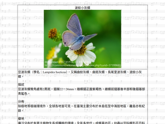 Jinshan/htm/波紋小灰蝶 screenshot