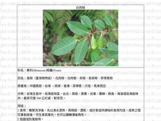Jinshan/htm/白肉榕 screenshot