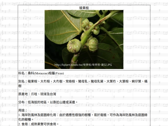 Jinshan/htm/稜果榕 screenshot