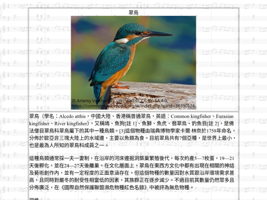 Jinshan/htm/翠鳥 screenshot