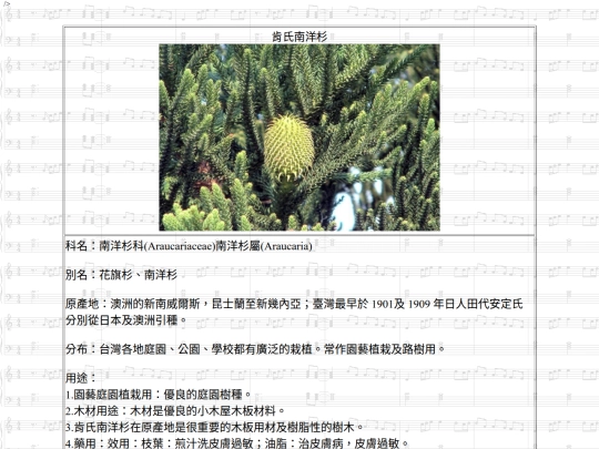 Jinshan/htm/肯氏南洋杉 screenshot