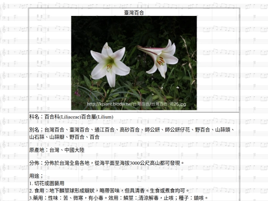 Jinshan/htm/臺灣百合 screenshot