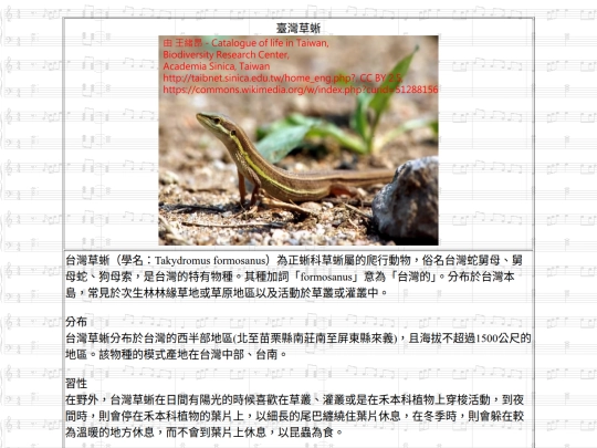 Jinshan/htm/臺灣草蜥 screenshot