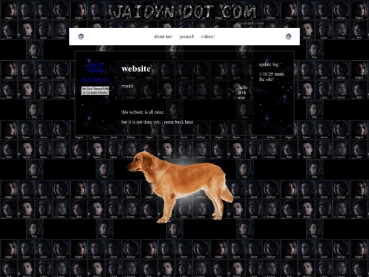 coricopy2 screenshot