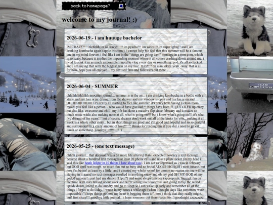journal screenshot