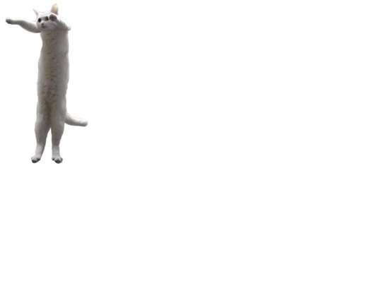 catpics screenshot