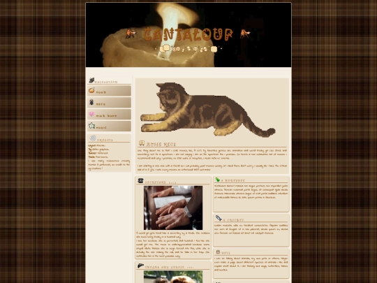 braindump screenshot