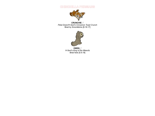 chinchi screenshot