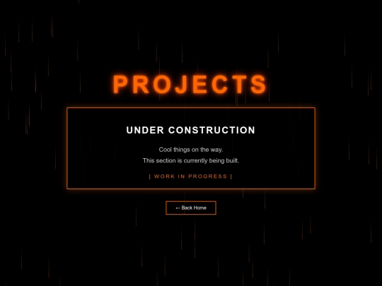 projects screenshot