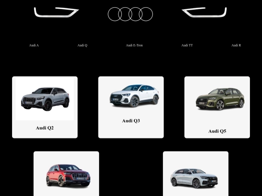 audi_q screenshot