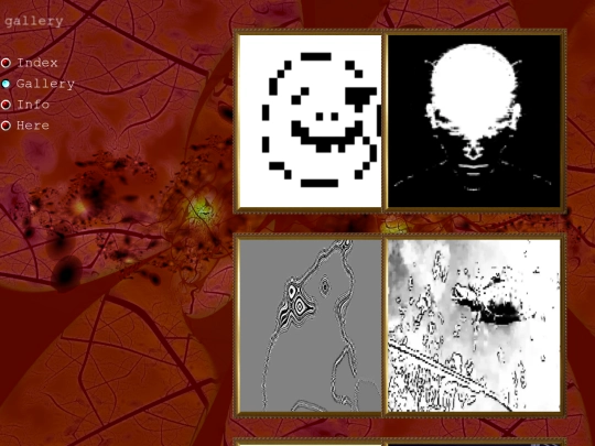 gallery screenshot