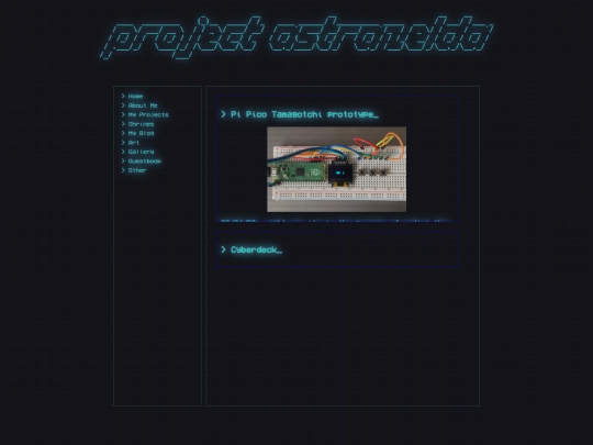 projects screenshot