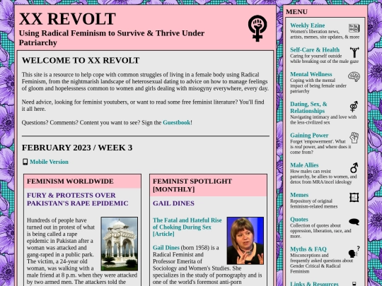 february3 screenshot
