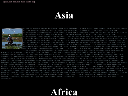 whiterice screenshot
