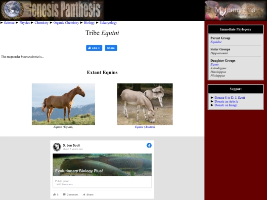 equini screenshot
