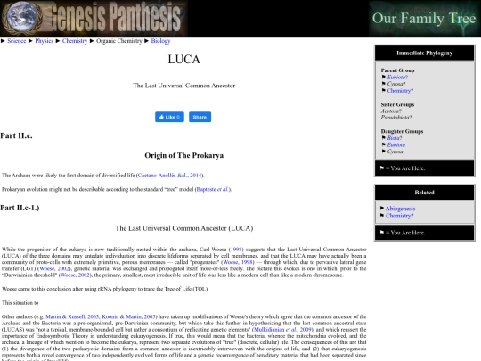luca screenshot