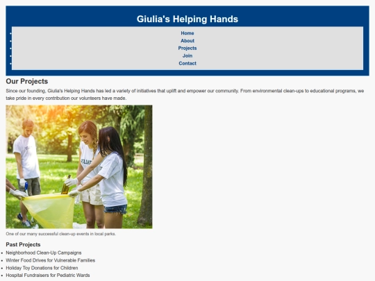 Final Project Assignment/projects screenshot