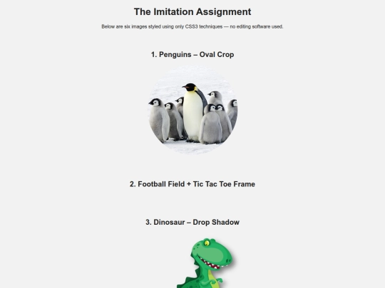 IMITATION ASSIGNMENT/imitation screenshot