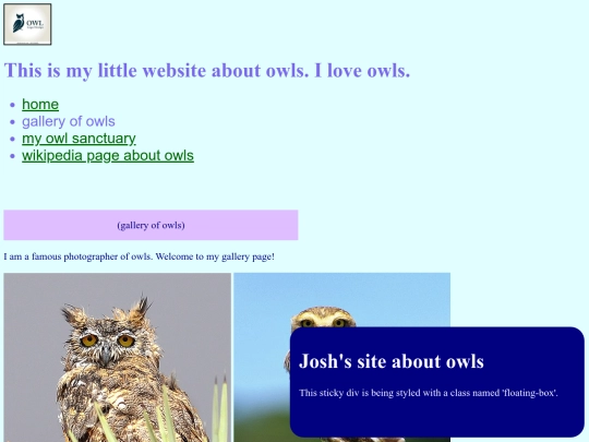 gallery screenshot