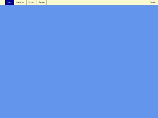 project screenshot