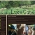 Luke James Gutel's Website avatar