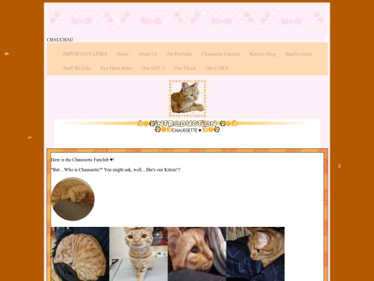 Chaussette screenshot