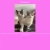 Squawnk avatar