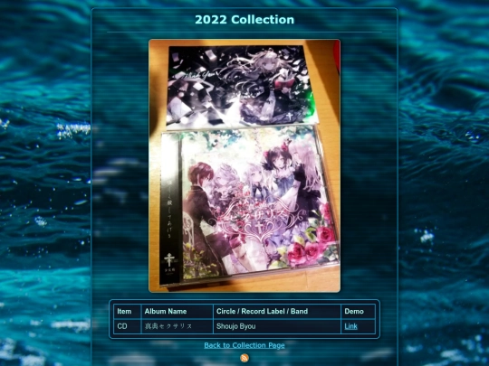 collections/Music/2022 screenshot
