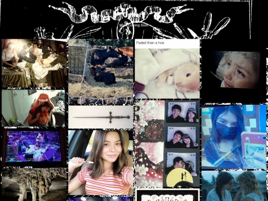 gallery screenshot
