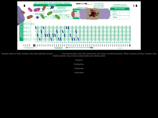 squestion24 screenshot