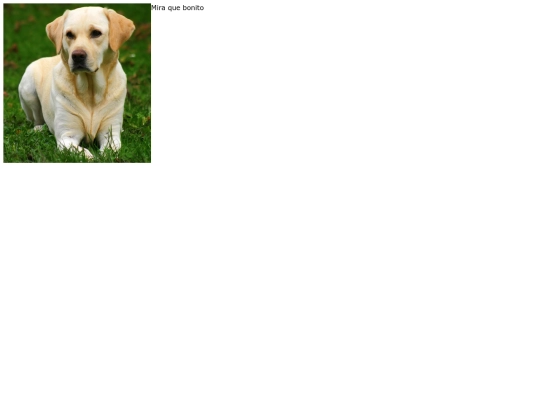 practica5 screenshot