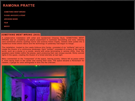 pages/somethingwentwrong screenshot