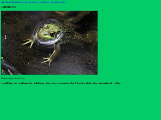 TheAmphibian screenshot