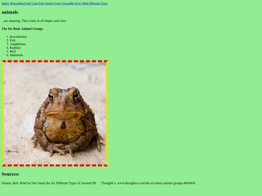 TheLastingFinalWebsite screenshot