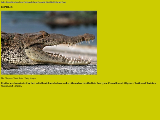 TheReptile screenshot