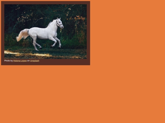 horse screenshot