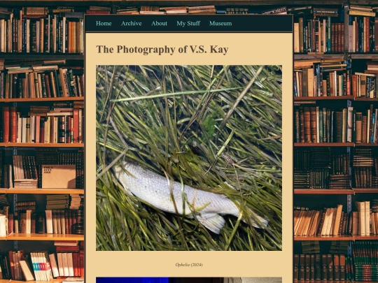posts/2026-6-16-photography screenshot