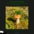 Greenteamoon's Place avatar