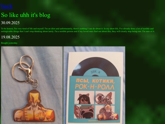 blog screenshot