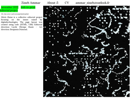 pages/04 screenshot