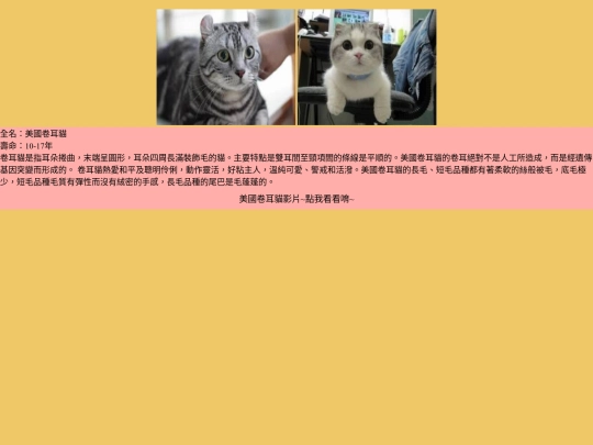 cat/cat-03 screenshot