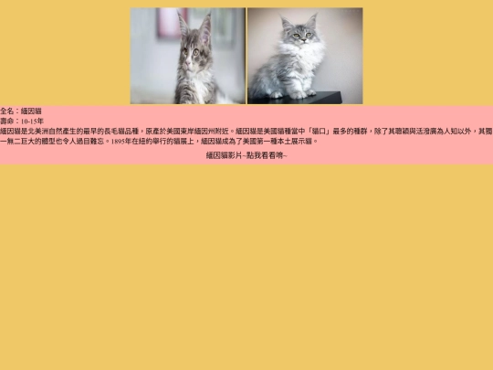 cat/cat-04 screenshot