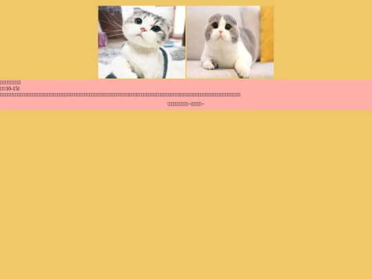 cat/cat-05 screenshot
