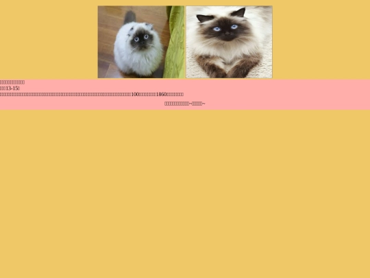 cat/cat-07 screenshot