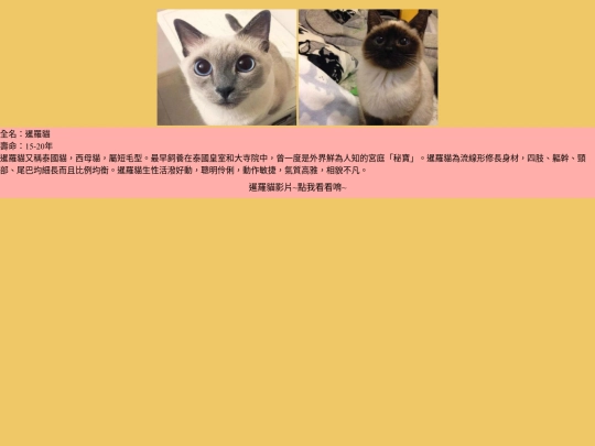 cat/cat-08 screenshot