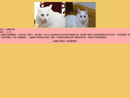 cat/cat-10 screenshot