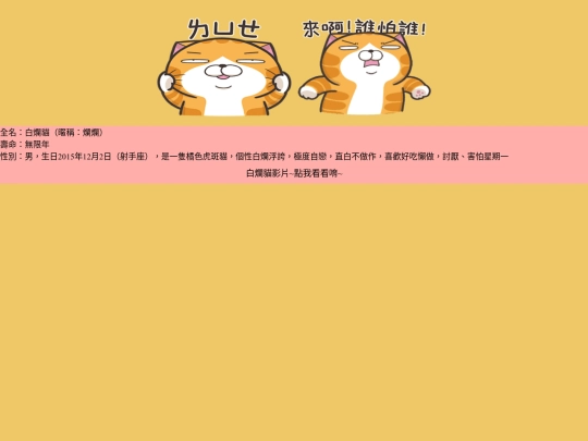 cat/cat-12 screenshot
