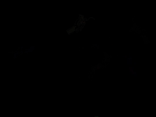yinyangworld/pi screenshot