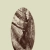 ltracks.yorniq.xyz avatar